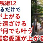 再生のみ！遠距離恋愛運アップ！金運アップ！災厄から身を守る！邪悪を遠ざけ、危険を避ける！【霊能者霊媒師飯島章】