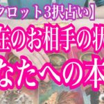 【恋愛タロット3択占い】今現在のお相手の状況と、あなたへの本音。復縁、不倫、片思いの恋愛運を3択タロットリーディングで占い鑑定しました♩バランガン西原さゆり