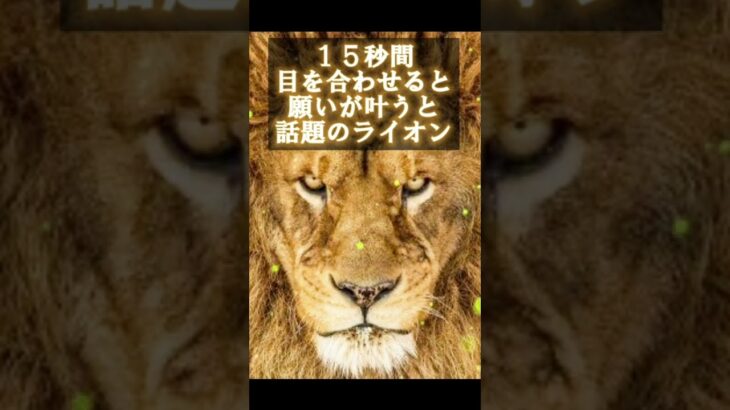 あなたは何を願いますか。スピリチュアル心理学恋愛, ※23:59までに必ずご覧ください「おめでとうございます」表示された人は今絶対に覧ください。凄いパワーを送ります