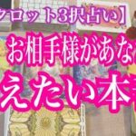 【恋愛タロット3択占い】いま、お相手があなた様に伝えたい本音。復縁、不倫、片思いの恋愛運