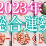 🌟2023年の運勢🌟龍神カードおみくじ🐲モテ期到来💖大成功😆結婚💍新ステージ🕊🍀