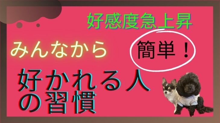 【みんなから好かれる人の習慣】#心理学 #恋愛心理学 #心理学って面白い #自己啓発