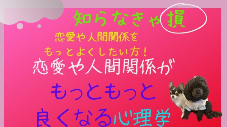 【恋愛や人間関係に役立つ心理学10選】心理学を応用して人間関係や恋愛に役立ててくださいね💕#心理学 #恋愛心理学 #心理学って面白い #潜在意識