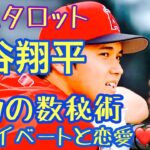 大谷翔平くん成功の数秘術・知られざるプライベートと恋愛・結婚はどうなるか？