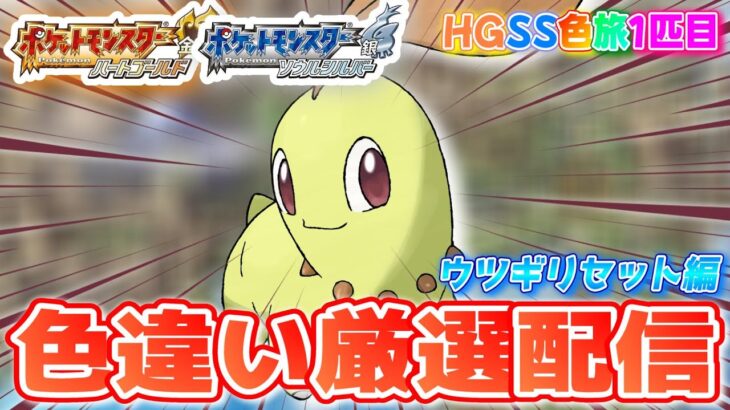 【ポケモンHGSS】色違いしか使ってはいけない色違い縛り実況 ウツギリセット編 4800~【生配信】