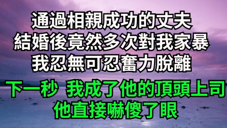 通過相親成功的丈夫，結婚後竟然多次對我家暴，我忍無可忍奮力脫離，下一秒  我成為了他的頂頭上司，他直接嚇傻了眼【一品書齋】#落日溫情#情感故事#花開富貴#深夜淺讀#家庭矛盾#爽文