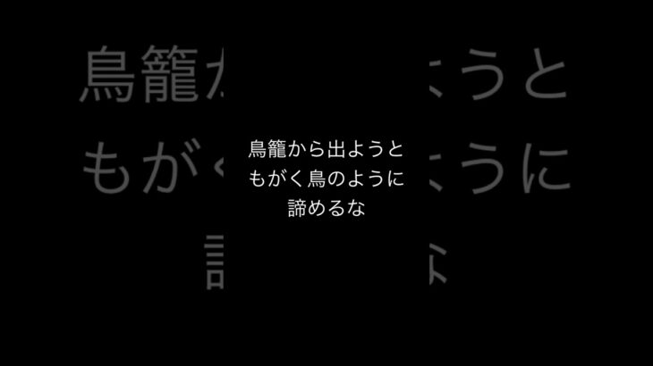 失敗を無駄にするな！#ALIVE #雷鼓 #人生 #恋愛 #思い付き #想い #名言 #夢と希望 #tv #naruto #ナルト #励まし隊