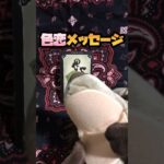 危険な恋愛は…【恋愛タロットメッセージ】