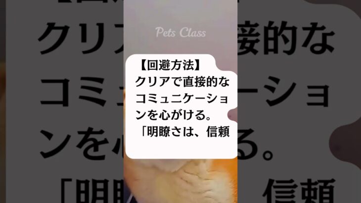 【恋愛0日目編】「神秘的なA型女性の思いがけない失敗」