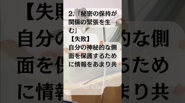 【恋愛92日目編】「神秘的なA型女性の思いがけない失敗」