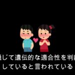 【恋愛攻略チャンネル3見ないと損する恋愛！】